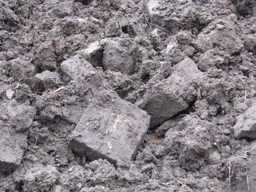 粉煤灰火山灰效应在哪些领域得到了广泛应用
